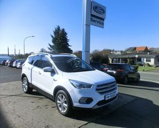 Ford Kuga Gebrauchtwagen
