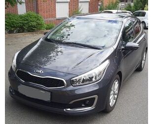 Kia ceed / Ceed Gebrauchtwagen
