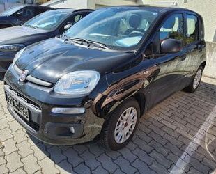 Fiat Panda Gebrauchtwagen
