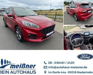 Ford Kuga Gebrauchtwagen