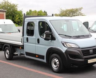 Fiat Ducato Gebrauchtwagen