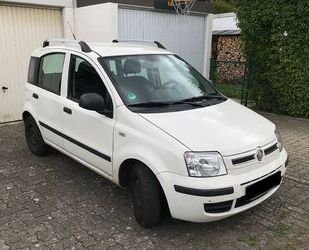 Fiat Panda Gebrauchtwagen