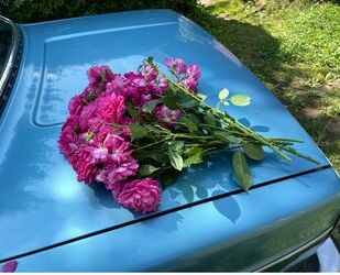 Volvo Andere Gebrauchtwagen