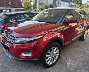 Land Rover Range Rover Evoque Gebrauchtwagen