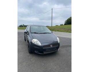Fiat Punto Evo Gebrauchtwagen