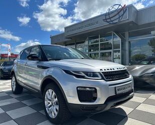 Land Rover Range Rover Evoque Gebrauchtwagen