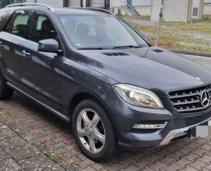 Mercedes-Benz ML 250 Gebrauchtwagen