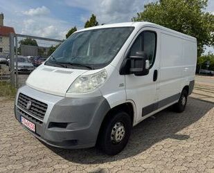 Fiat Ducato Gebrauchtwagen