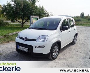 Fiat Panda Gebrauchtwagen