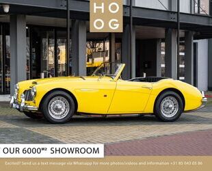 Austin Healey Andere Gebrauchtwagen