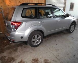 Subaru Forester Gebrauchtwagen