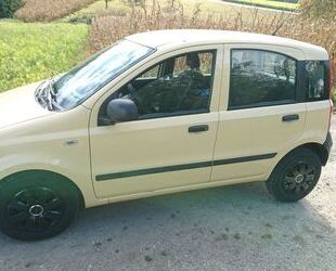 Fiat Panda Gebrauchtwagen