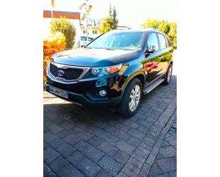 Kia Sorento Gebrauchtwagen
