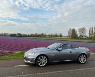 Jaguar XK Gebrauchtwagen