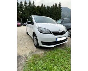 Skoda Citigo Gebrauchtwagen