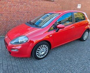 Fiat Punto Gebrauchtwagen