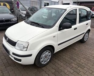 Fiat Panda Gebrauchtwagen