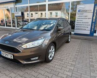 Ford Focus Gebrauchtwagen