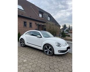 VW Beetle Gebrauchtwagen