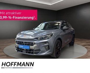 Cupra Terramar Gebrauchtwagen