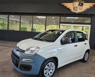 Fiat Panda Gebrauchtwagen