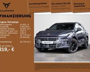 Cupra Terramar Gebrauchtwagen