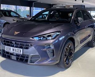 Cupra Terramar Gebrauchtwagen