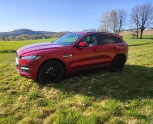 Jaguar F-Pace Gebrauchtwagen