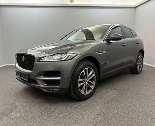 Jaguar F-Pace Gebrauchtwagen