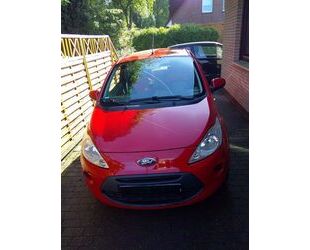 Ford Ka/Ka+ Gebrauchtwagen