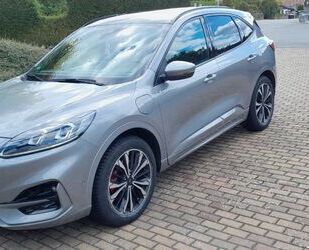 Ford Kuga Gebrauchtwagen