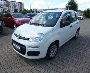 Fiat Panda Gebrauchtwagen