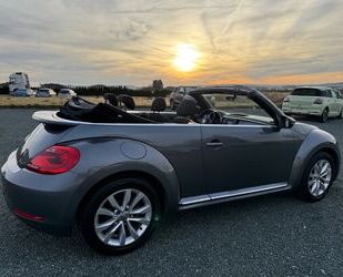 VW Beetle Gebrauchtwagen