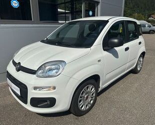 Fiat Panda Gebrauchtwagen