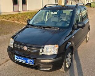 Fiat Panda Gebrauchtwagen