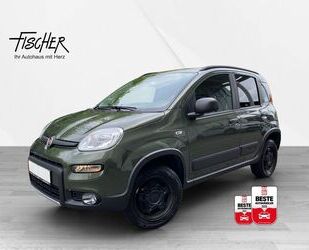 Fiat Panda Gebrauchtwagen