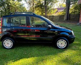 Fiat Panda Gebrauchtwagen