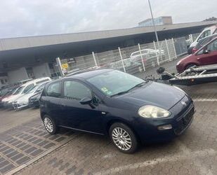 Fiat Punto Gebrauchtwagen