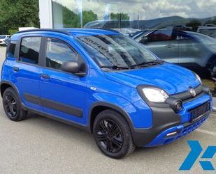 Fiat Panda Gebrauchtwagen