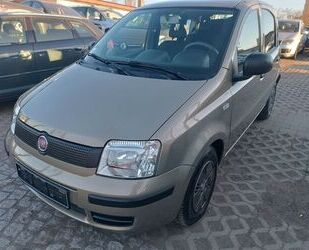 Fiat Panda Gebrauchtwagen