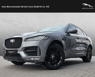 Jaguar F-Pace Gebrauchtwagen