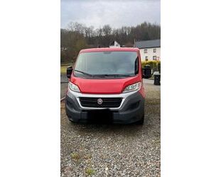 Fiat Ducato Gebrauchtwagen