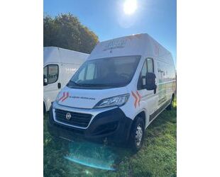 Fiat Ducato Gebrauchtwagen