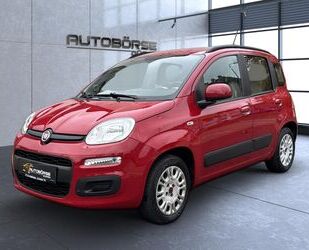 Fiat Panda Gebrauchtwagen