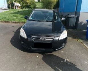 Kia ceed / Ceed Gebrauchtwagen