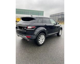 Land Rover Range Rover Evoque Gebrauchtwagen