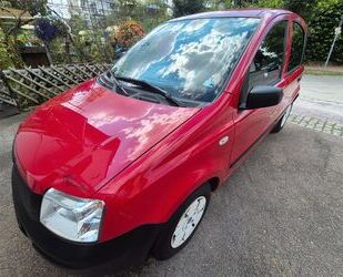 Fiat Panda Gebrauchtwagen