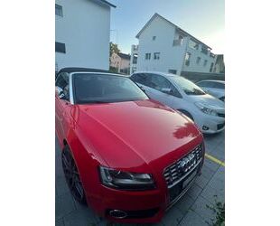 Audi S5 Gebrauchtwagen