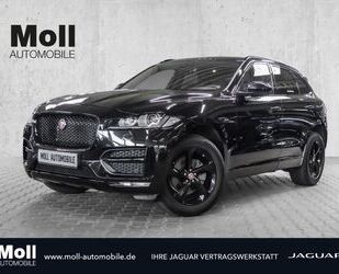 Jaguar F-Pace Gebrauchtwagen