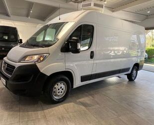 Fiat Ducato Gebrauchtwagen